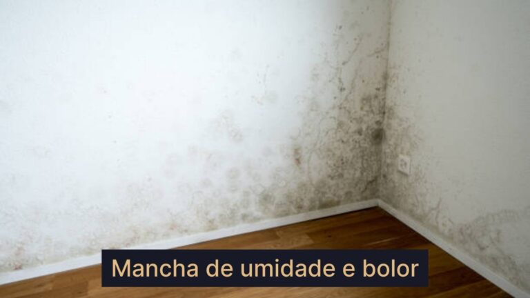WhatsApp Image 2025-02-21 at 15.01.33